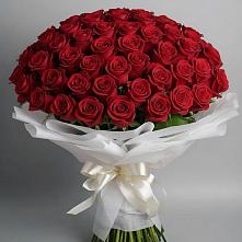 Букет 101 Красная роза Блэк Мэджик в Бодайбо