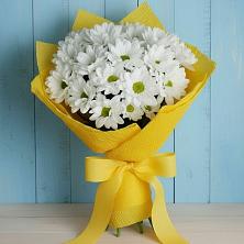Букет цветов из:  Хризантемы в Бодайбо