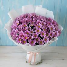 Букет цветов из:  Хризантемы в Бодайбо