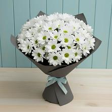 Букет цветов из:  Хризантемы в Бодайбо