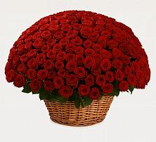 Премиум букет из: Розы в Бодайбо