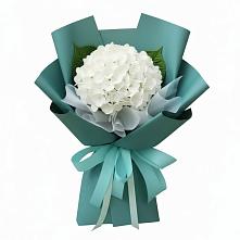 Букет цветов из:  Гортензия #REPLACE_PRED# Бодайбо